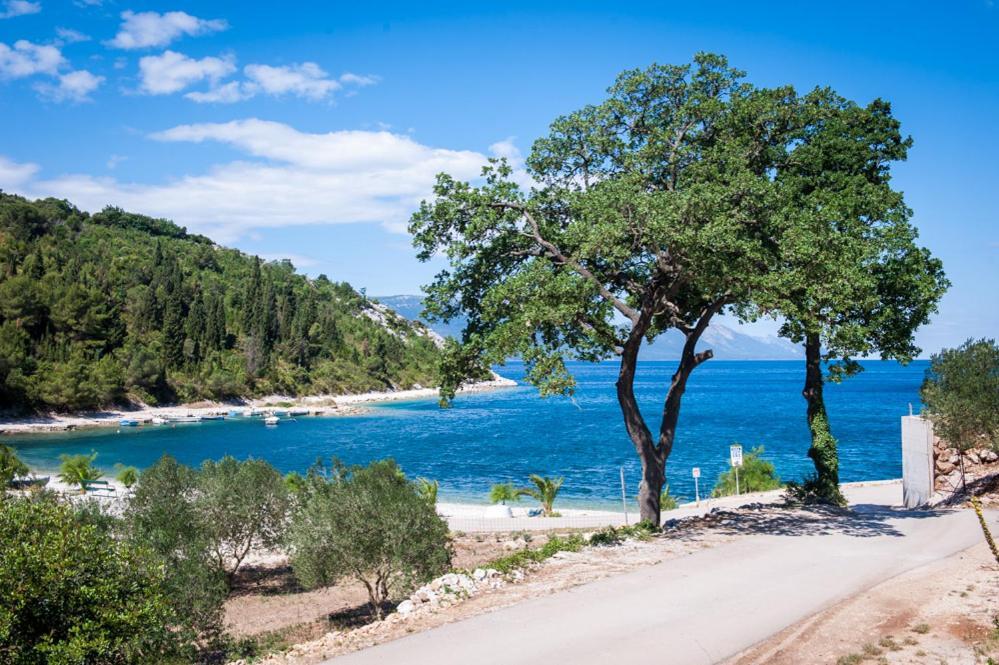 Danguba Διαμέρισμα Kremena Εξωτερικό φωτογραφία